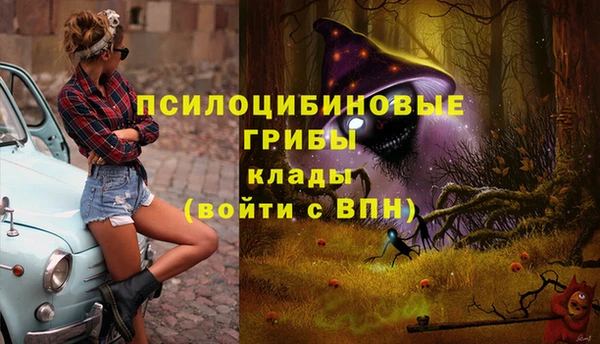 jwh Алзамай