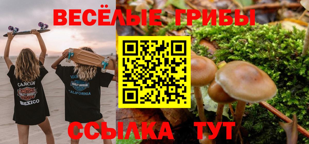 Галлюциногенные грибы Magic Shrooms Бахчисарай